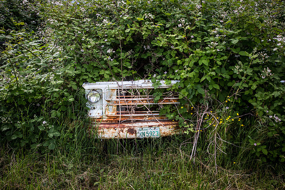 Vanishing Point #5