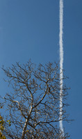 Winters' Touch