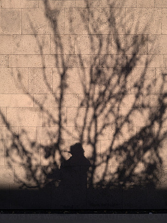 Evening. Winter. San Francisco