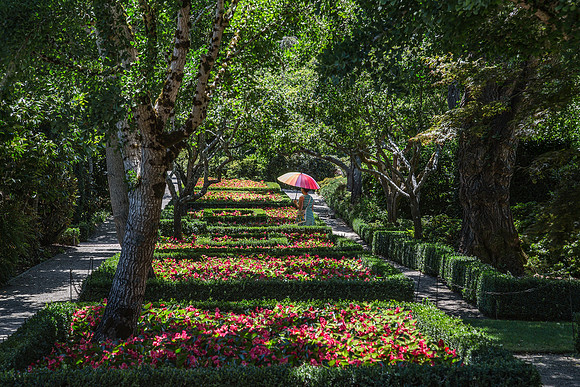 Filoli Bloom