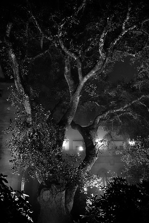 Apparition