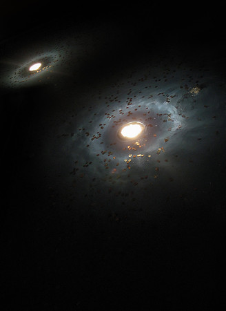 Galaxies