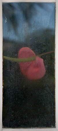 Behind Glass
